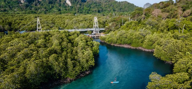 สำเนาของ DJI_0020