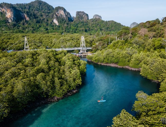 สำเนาของ DJI_0020